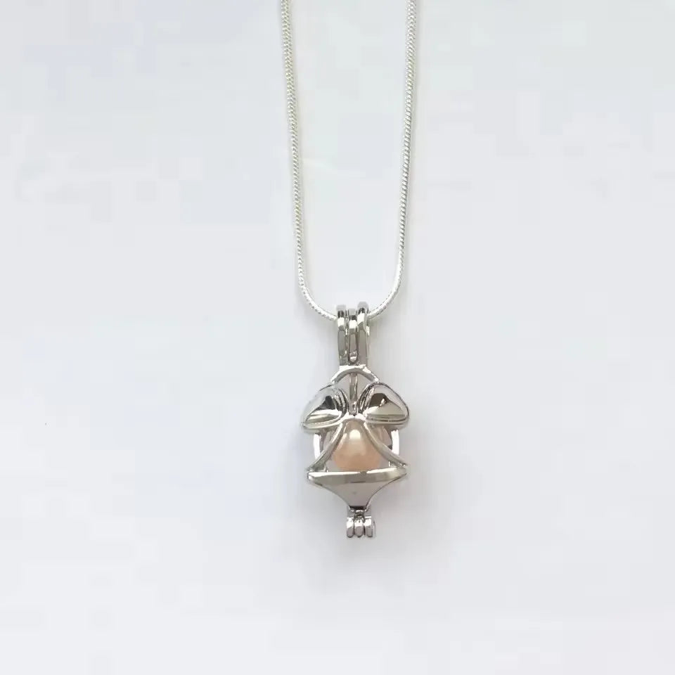 Natural pearl in shell with necklace
