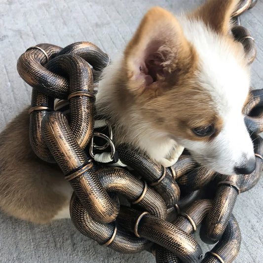 Funny Huge Dog chain Leash