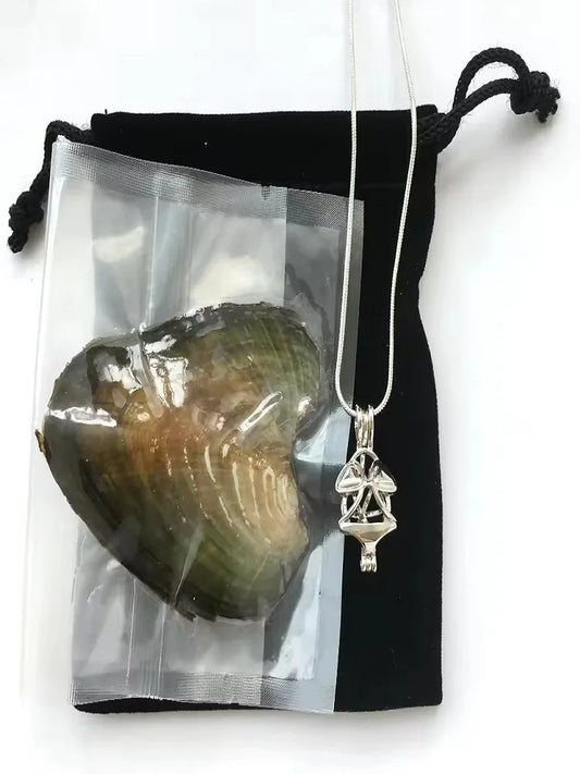 Natural pearl in shell with necklace