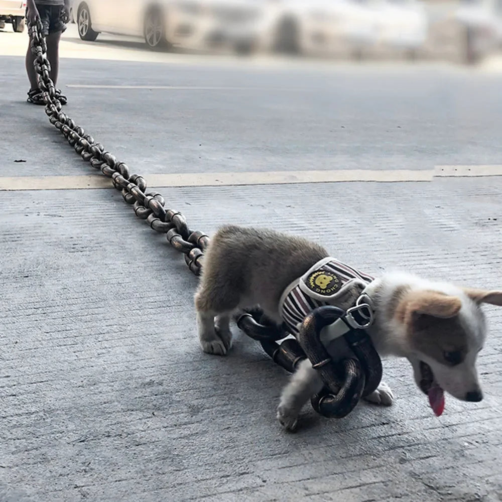 Funny Huge Dog chain Leash