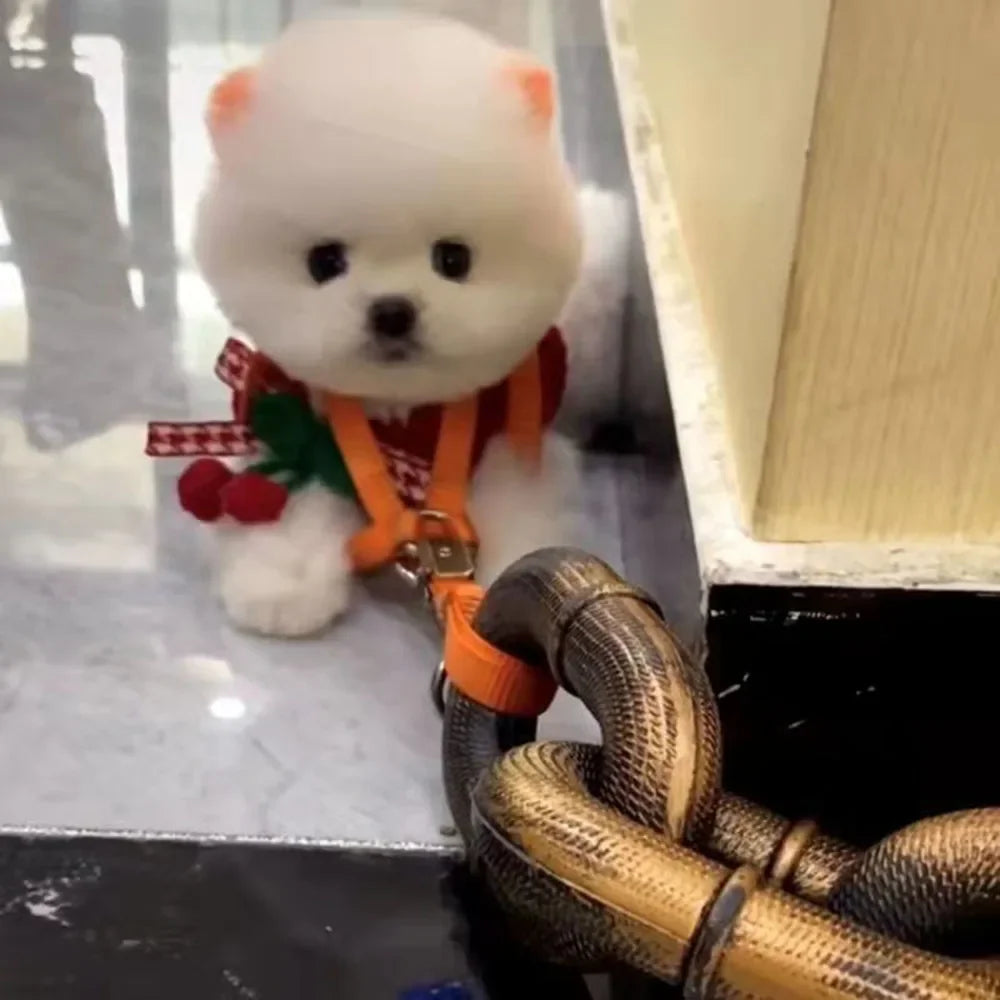 Funny Huge Dog chain Leash