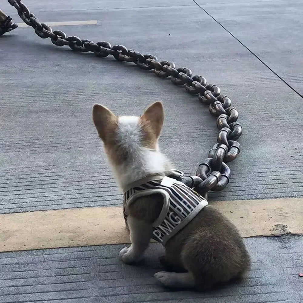 Funny Huge Dog chain Leash